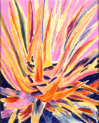Thumbnail image of Agave V