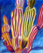 Thumbnail image of Cardon II